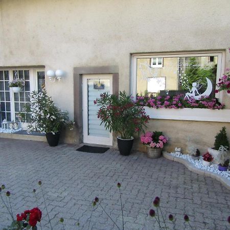 La Belle Endormie - Appartement A Fenetrange Экстерьер фото