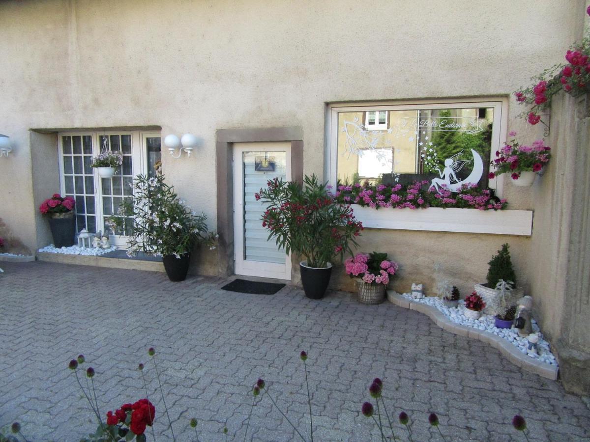 La Belle Endormie - Appartement A Fenetrange Экстерьер фото