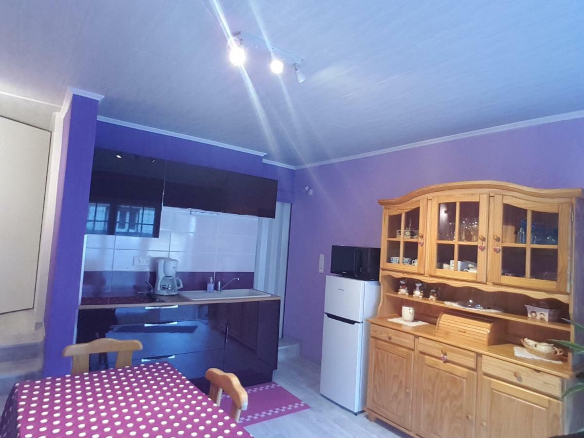 La Belle Endormie - Appartement A Fenetrange Экстерьер фото