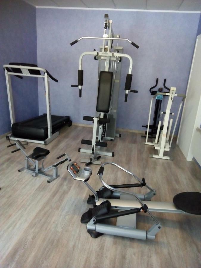 La Belle Endormie - Appartement A Fenetrange Экстерьер фото